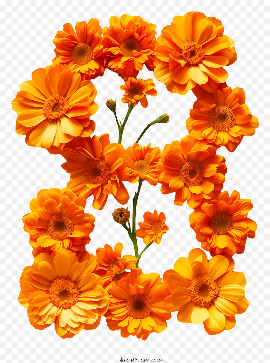 Número Floral Ocho，Flor B PNG