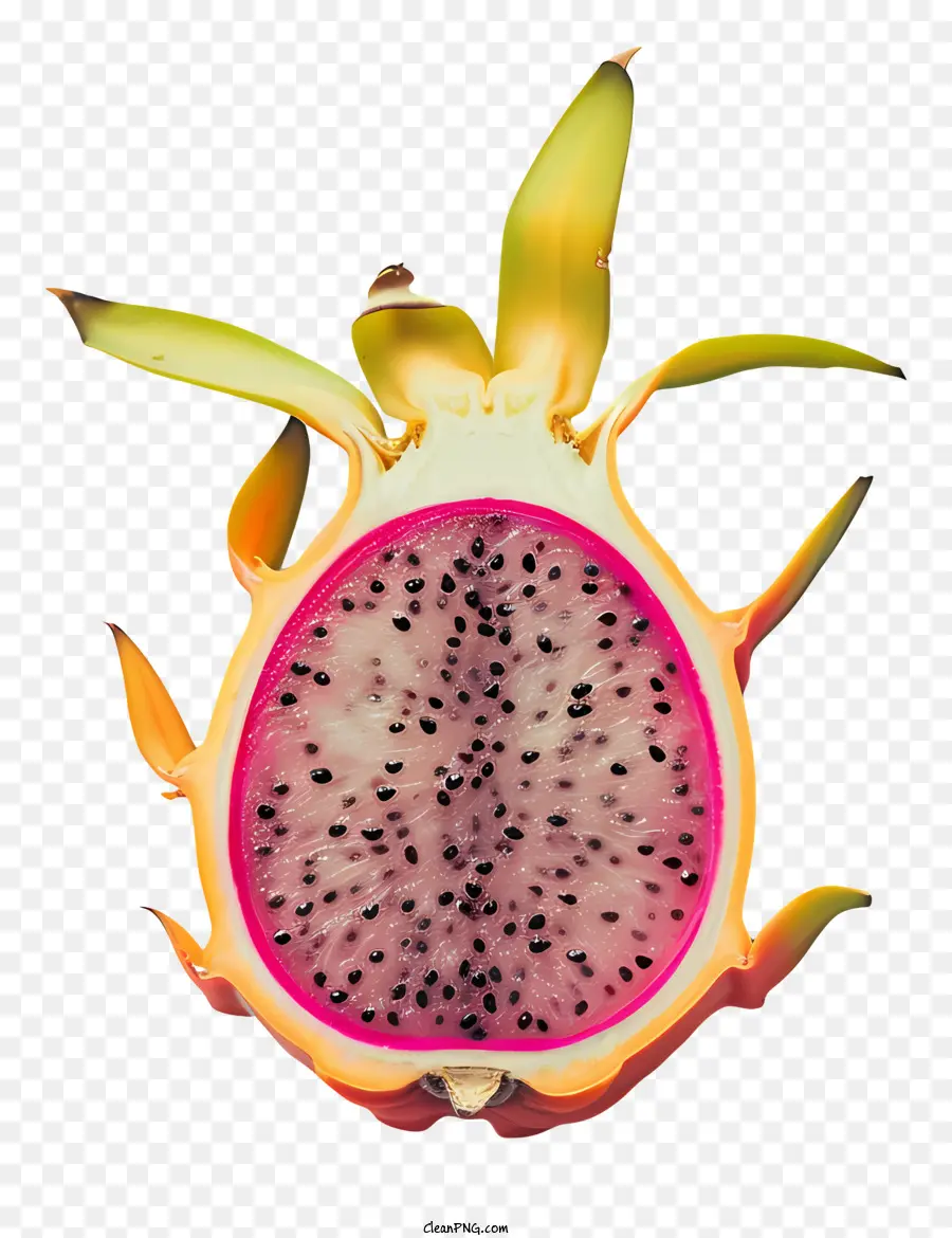 Fruta Del Dragón，Tema Principal PNG