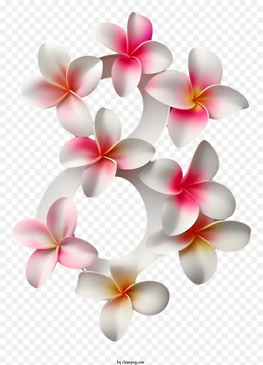 Floral Número Ocho，Plumas PNG