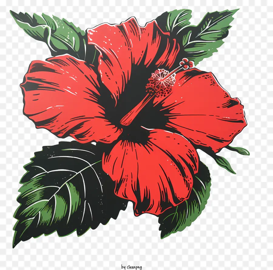 Flor De Hibisco，Flor De Hibisco Rojo PNG