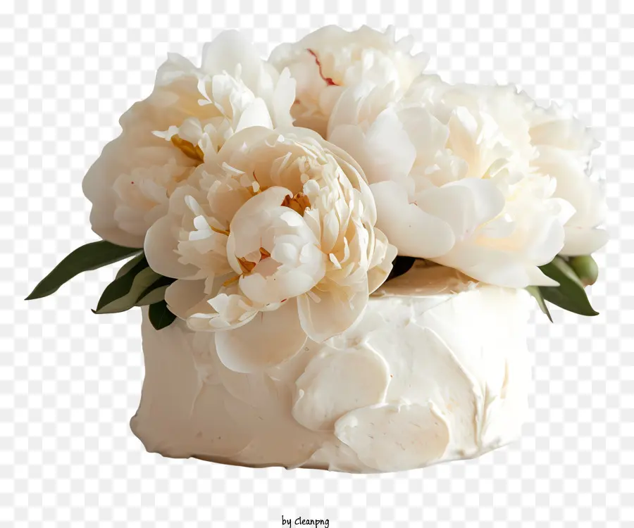 Pastel Blanco，Pastel De Flores PNG