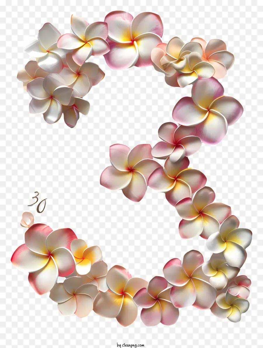 Flores Número 3，Número 3 PNG