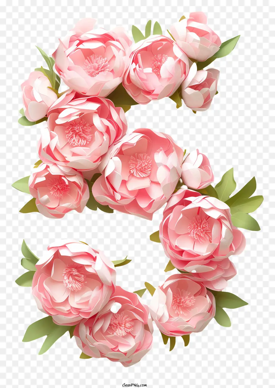 Número 5 Flores，Peonies Pink PNG