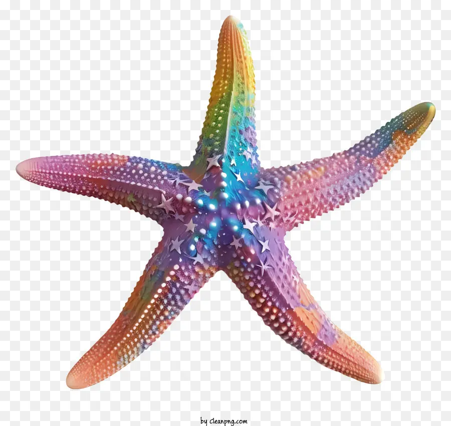 Estrella De Mar，Los Colores Del Arco Iris PNG