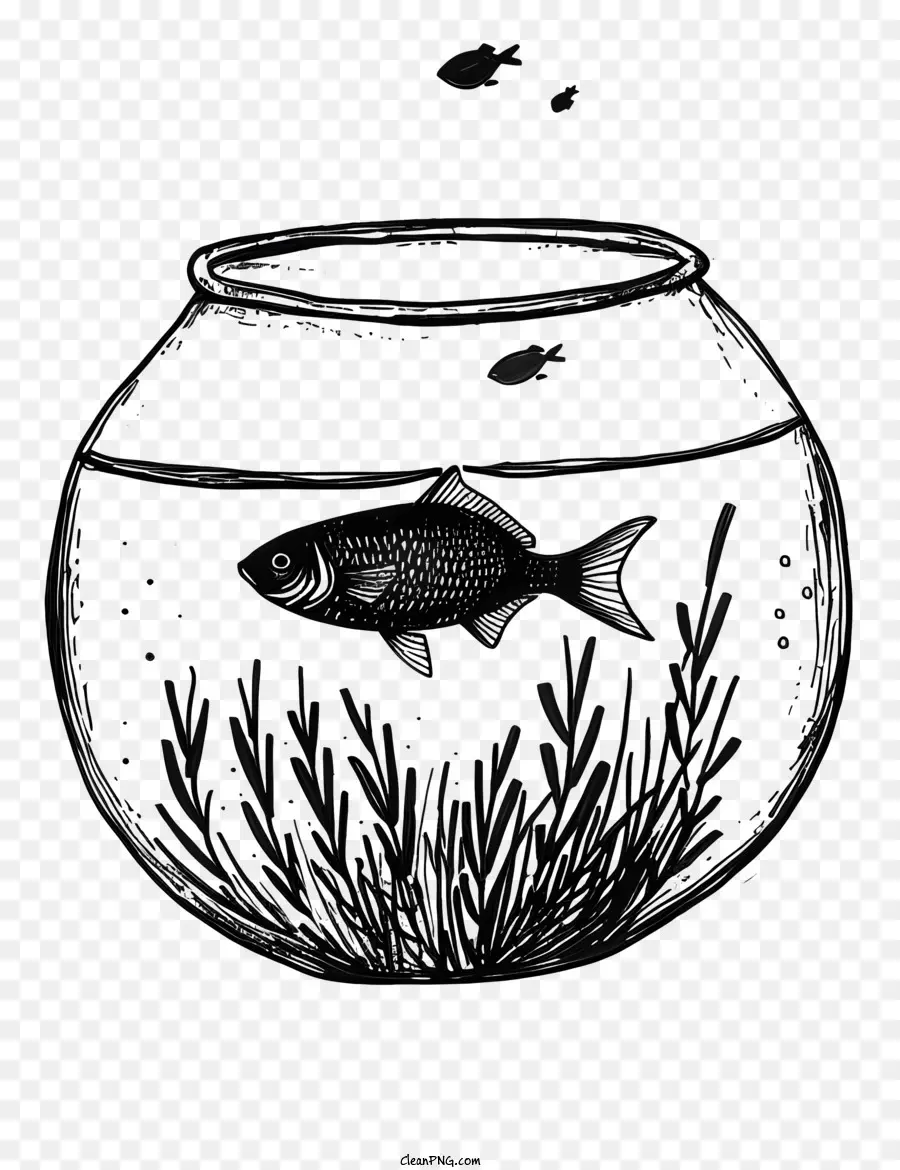 Fish Bowl，Agua PNG