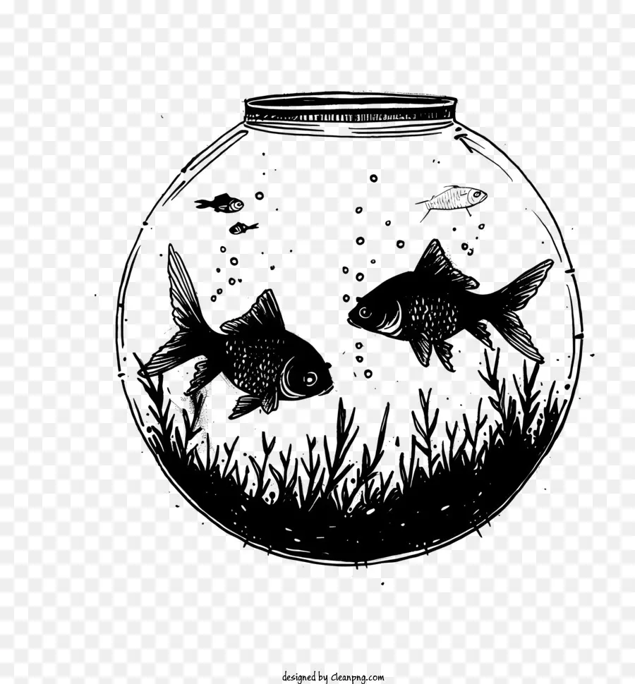 Fish Bowl，Fotografía En Blanco Y Negro PNG