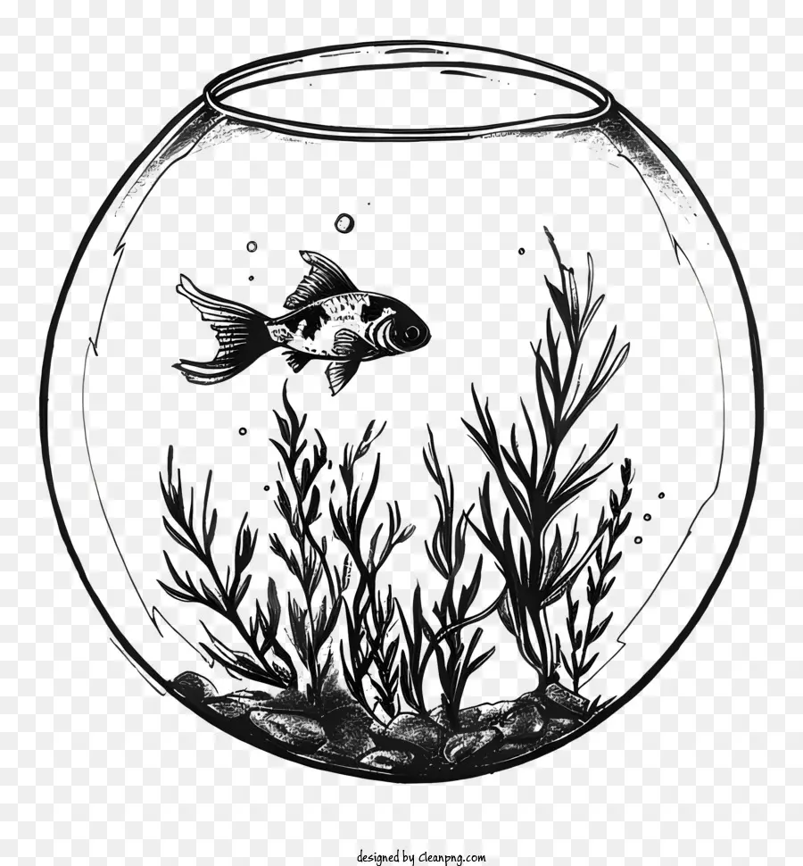 Fish Bowl，Las Plantas Acuáticas PNG