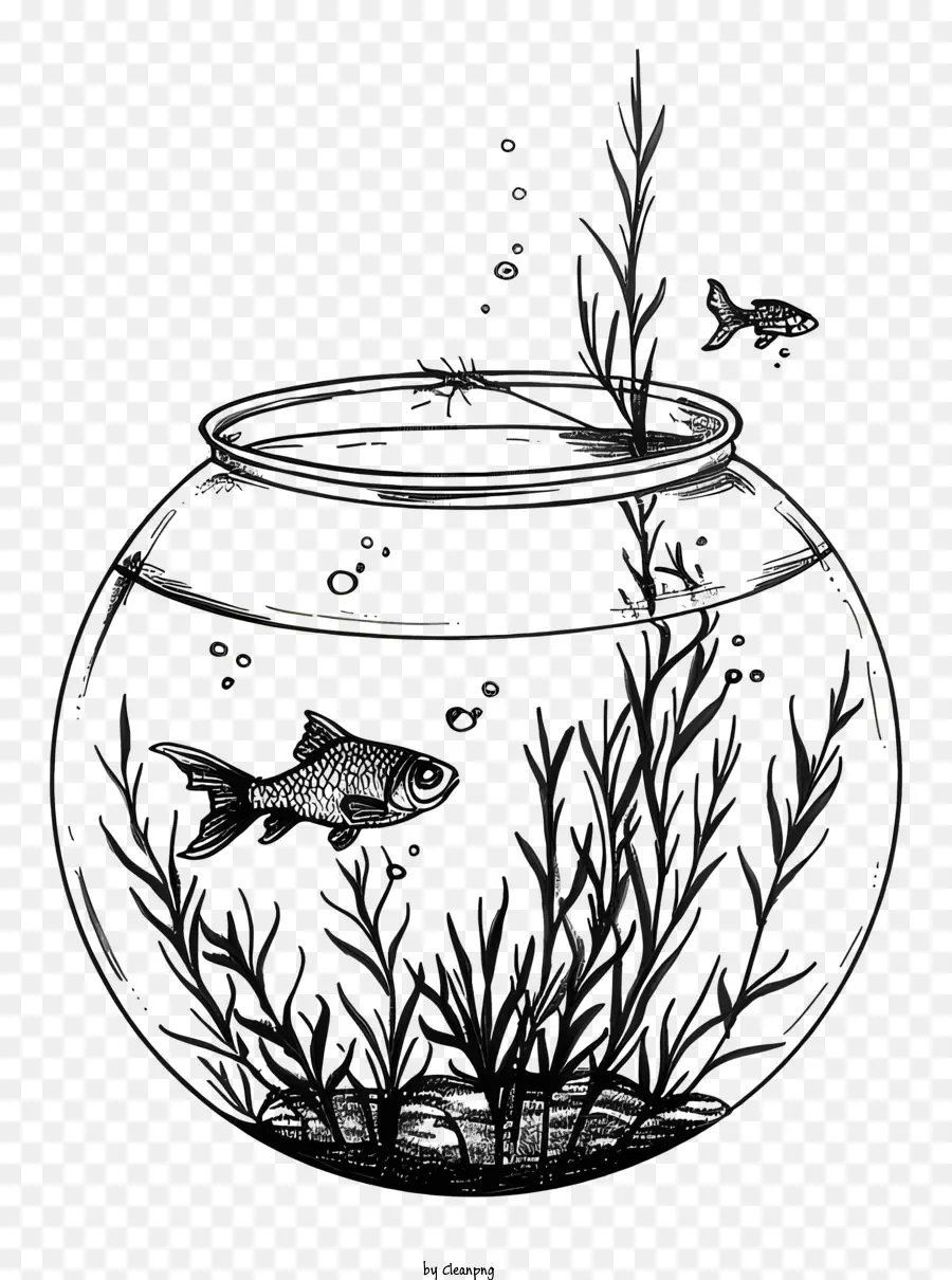 Fish Bowl，Escena Submarina Misteriosa PNG