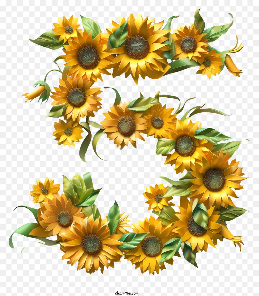 Número 5 Flores，Los Girasoles PNG