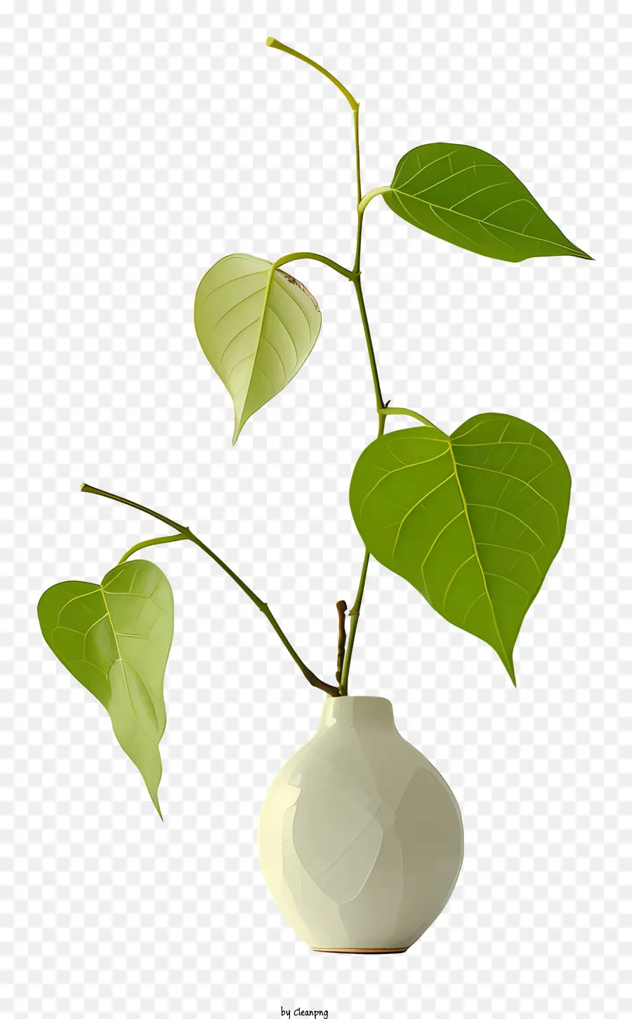 Florero，Planta Verde En Florero PNG