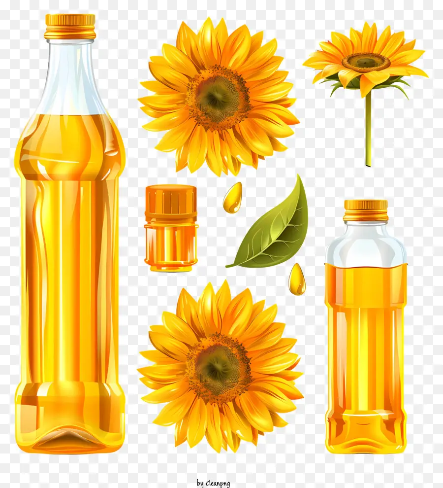 Aceite De Girasol，Girasol PNG