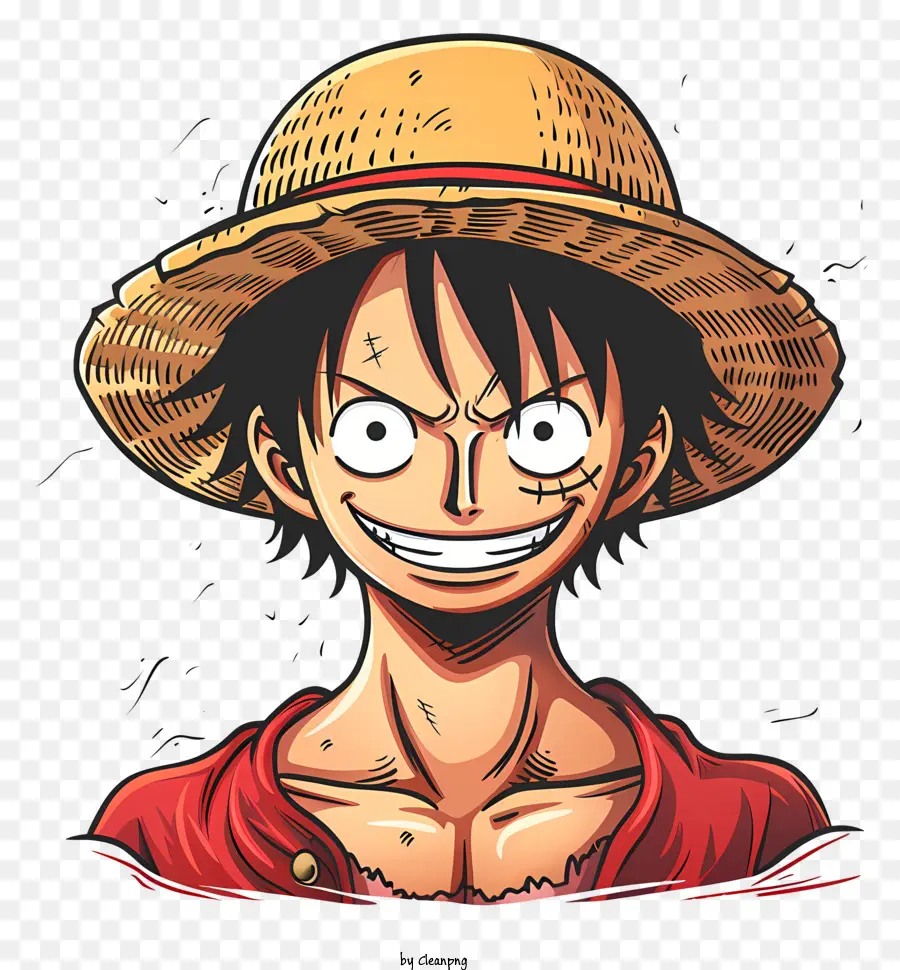 One Piece Luffy，Personaje De Dibujos Animados PNG