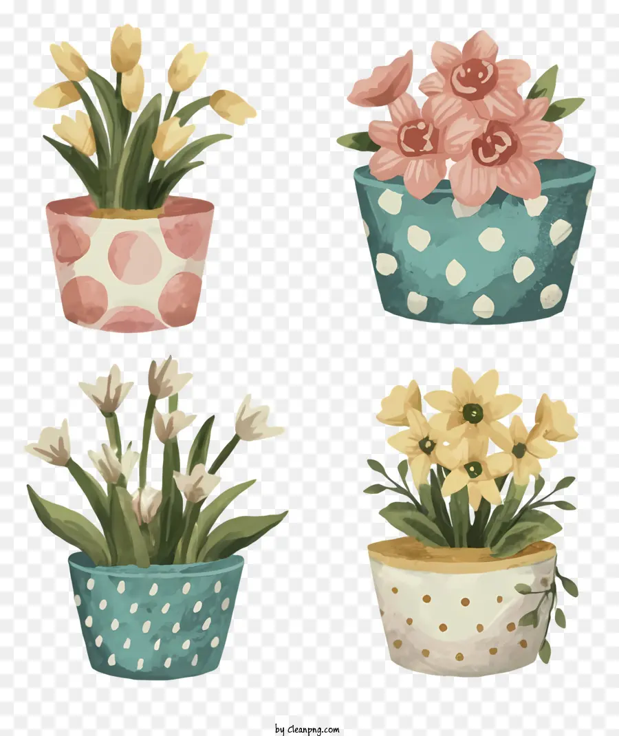 Maceta，Plantas En Macetas PNG