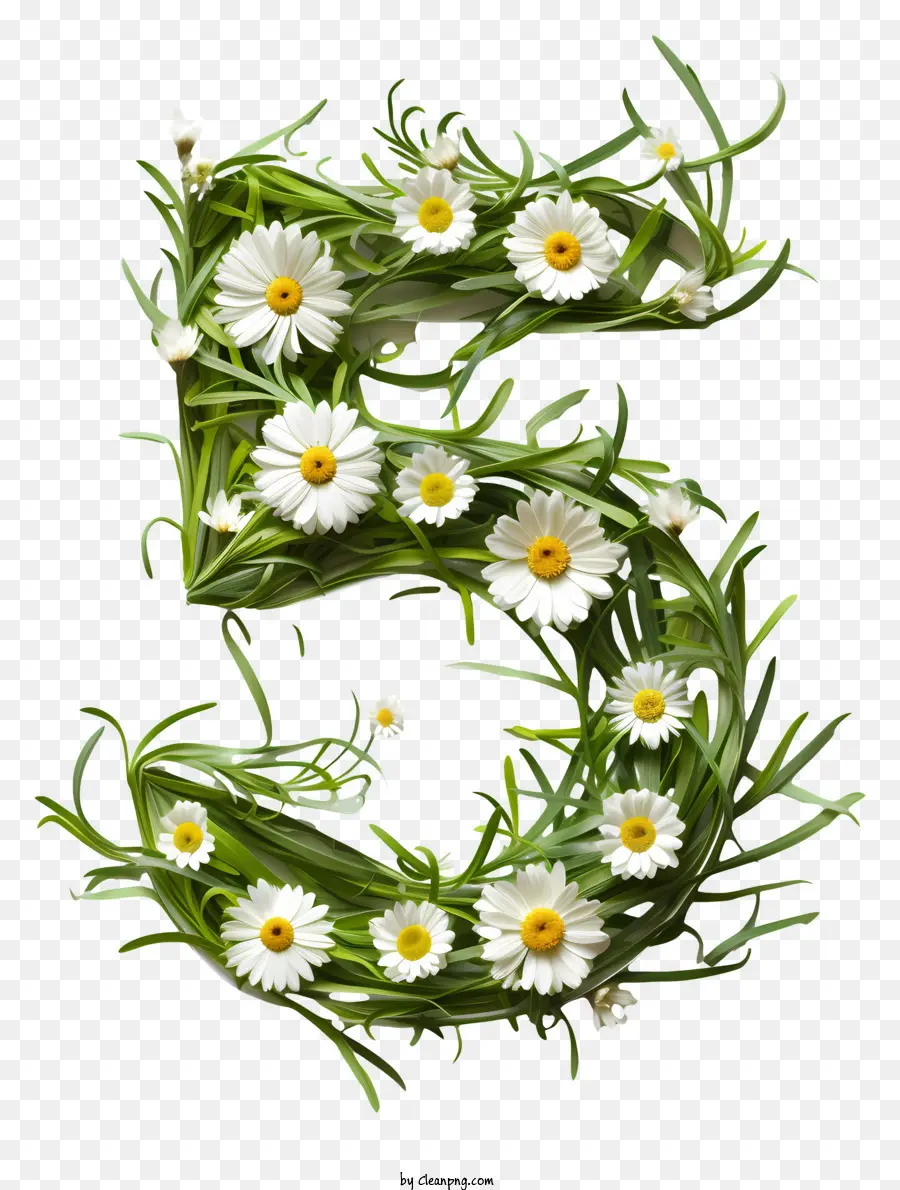 Flores Numero 5，Numero 5 PNG