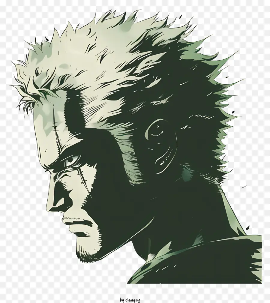 Día De La Cresta Ece Rorono Zoro，Perfil PNG