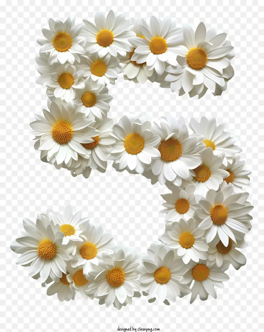 Flores Número 5，Número 5 PNG