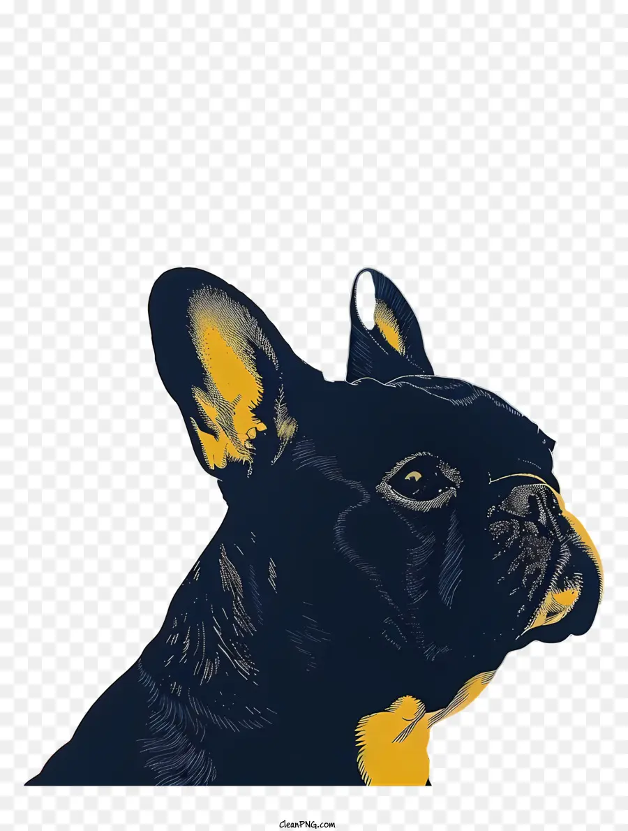 Bulldog Francés，Negro Y Azul PNG