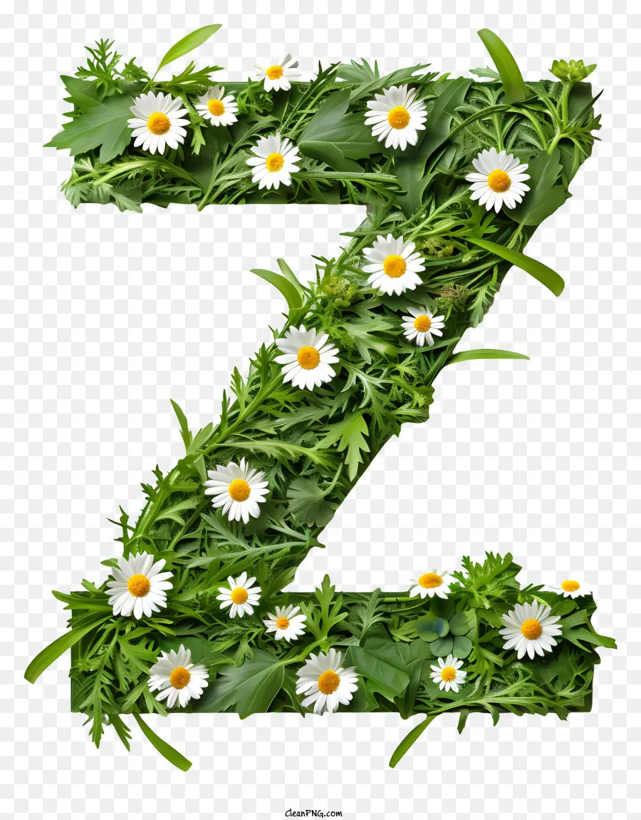 Letra Floral Z，Flor Z PNG