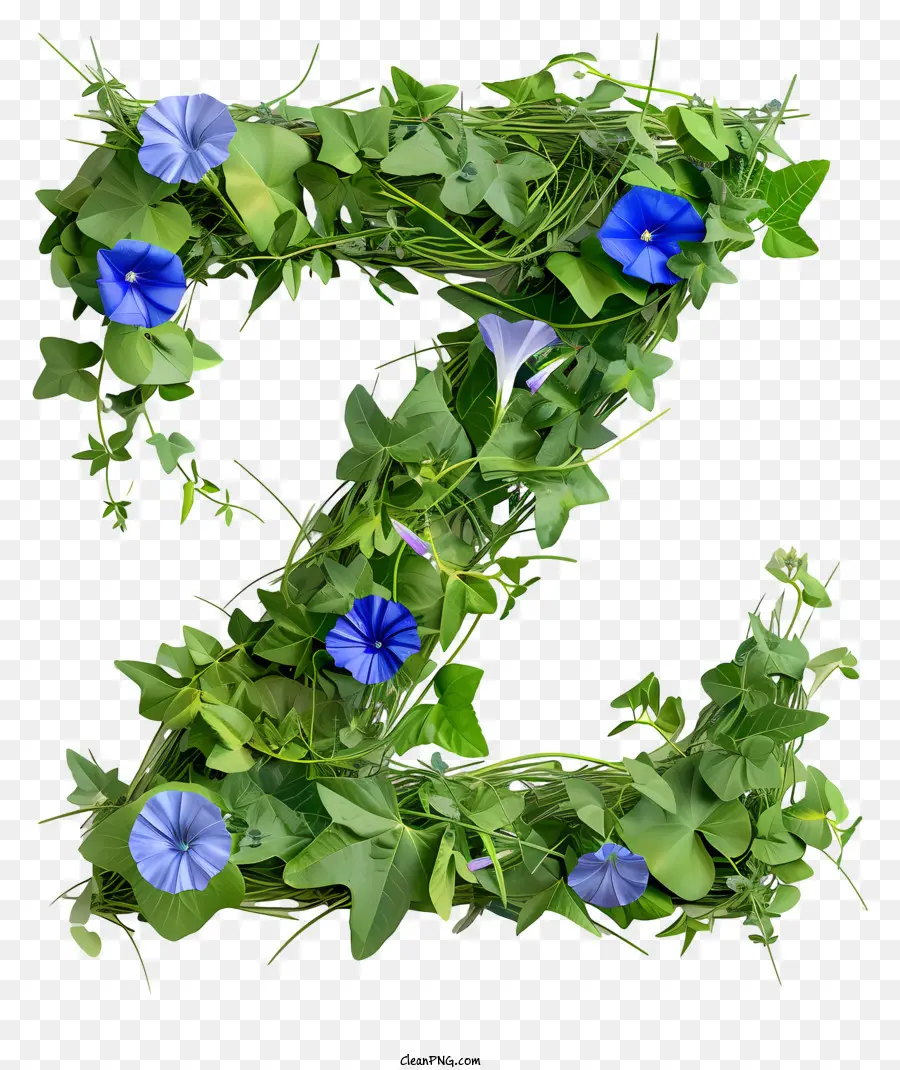 Letra Floral Z，Hojas PNG