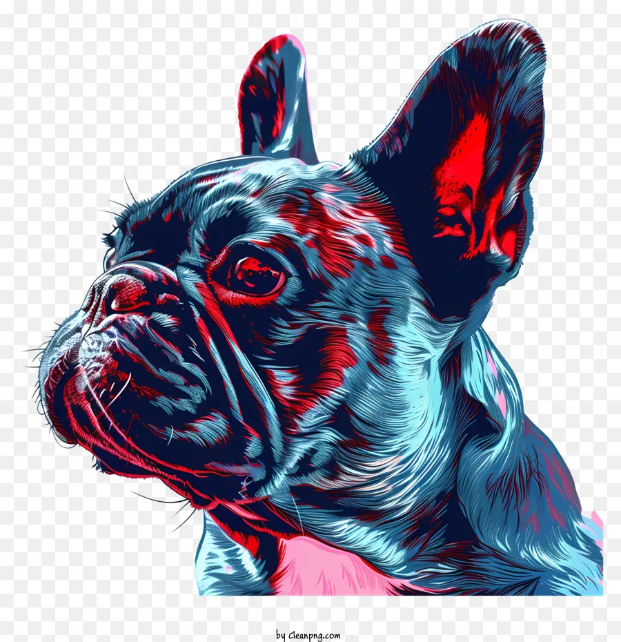 Bulldog Francés，Pintura Digital PNG