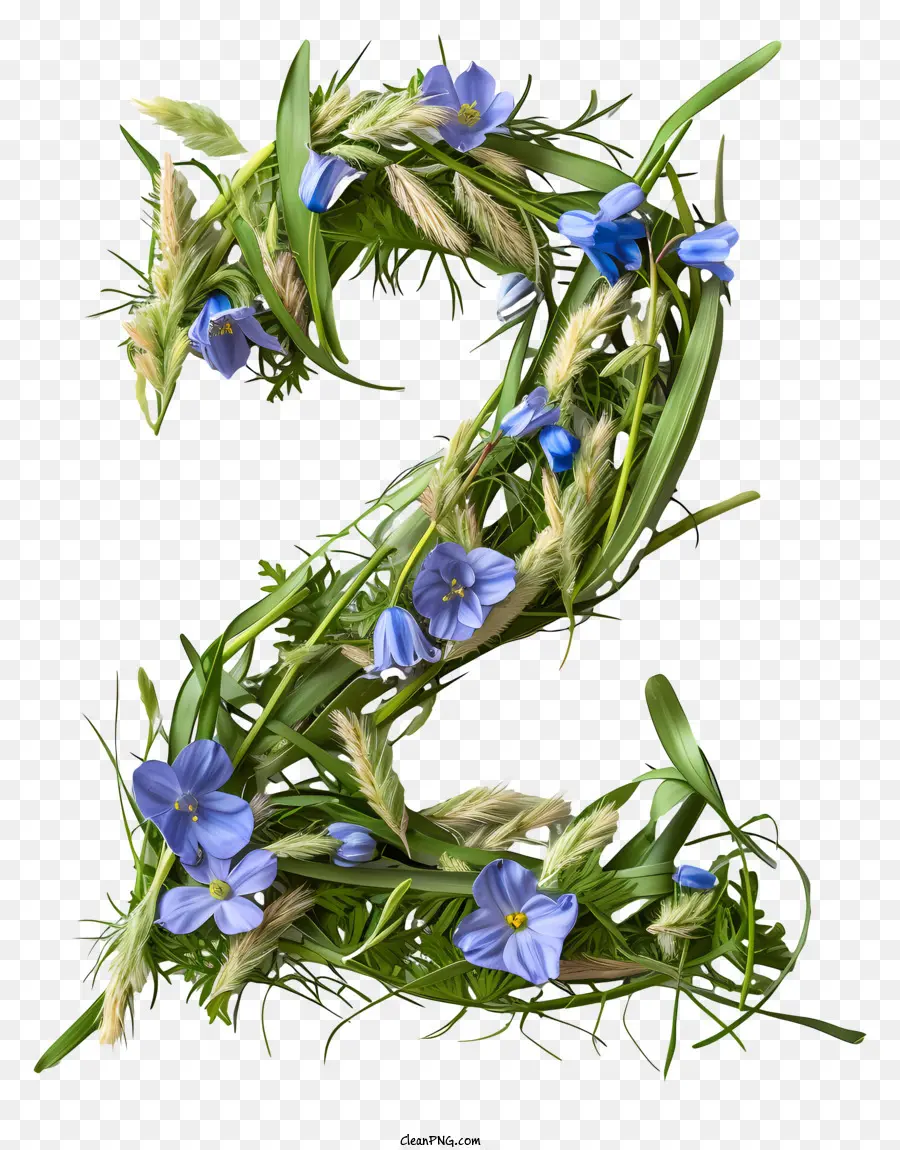 Flores Numero 2，Numero 2 PNG