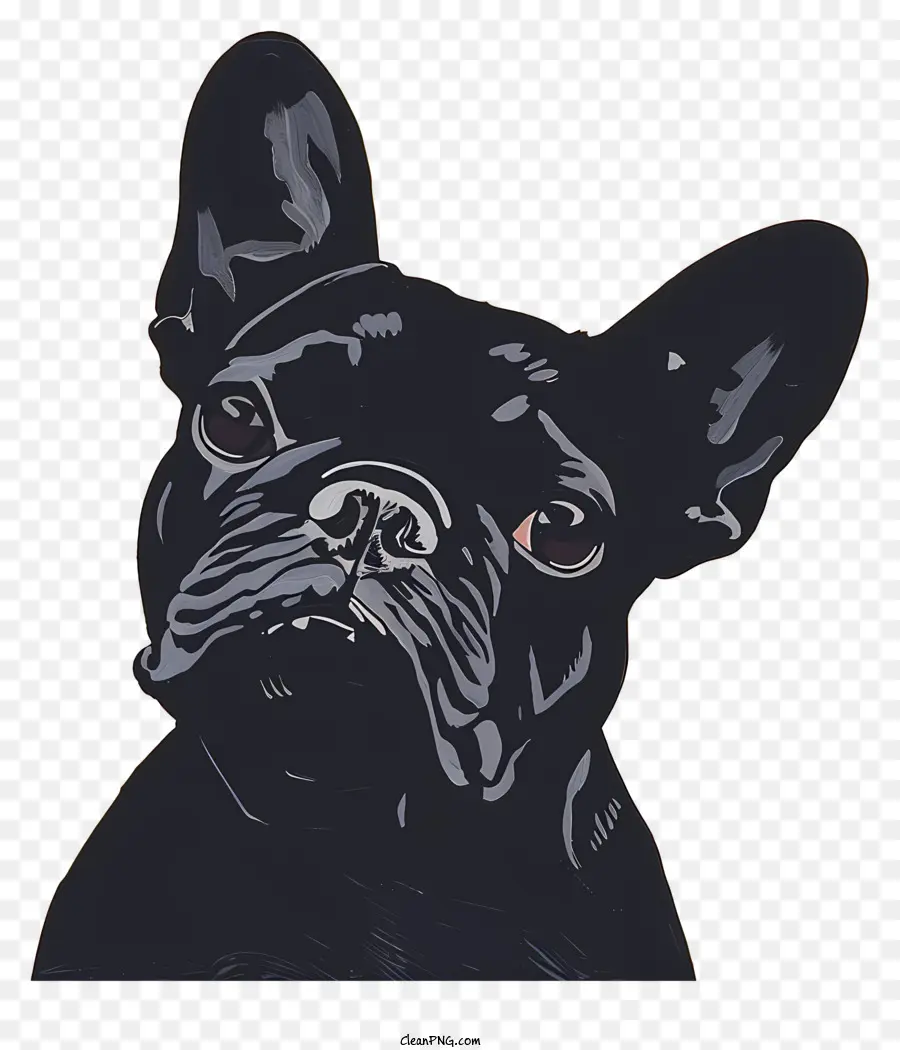 Bulldog Francés，Cuerpo Negro PNG