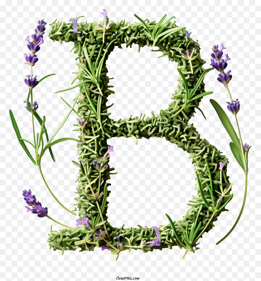 Letra Floral B，Letra B Con Lavanda PNG