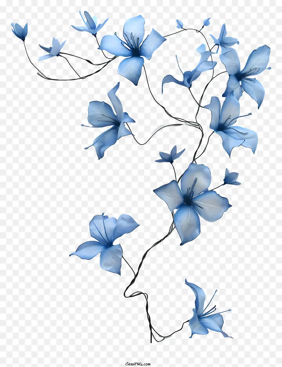 Vid De La Flor Azul，Flores Azul Oscuro PNG
