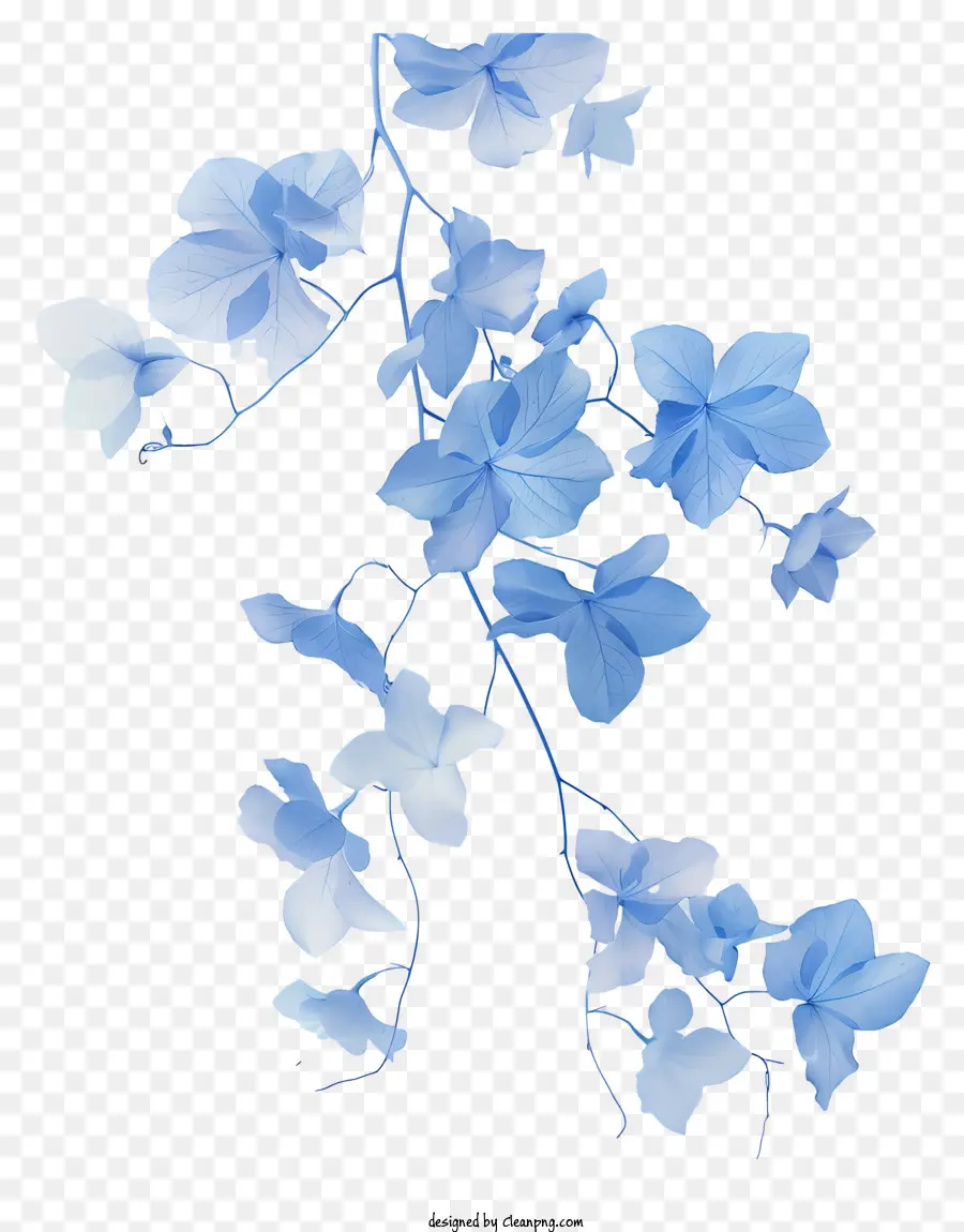 Vid De La Flor Azul，Flores De Color Azul PNG