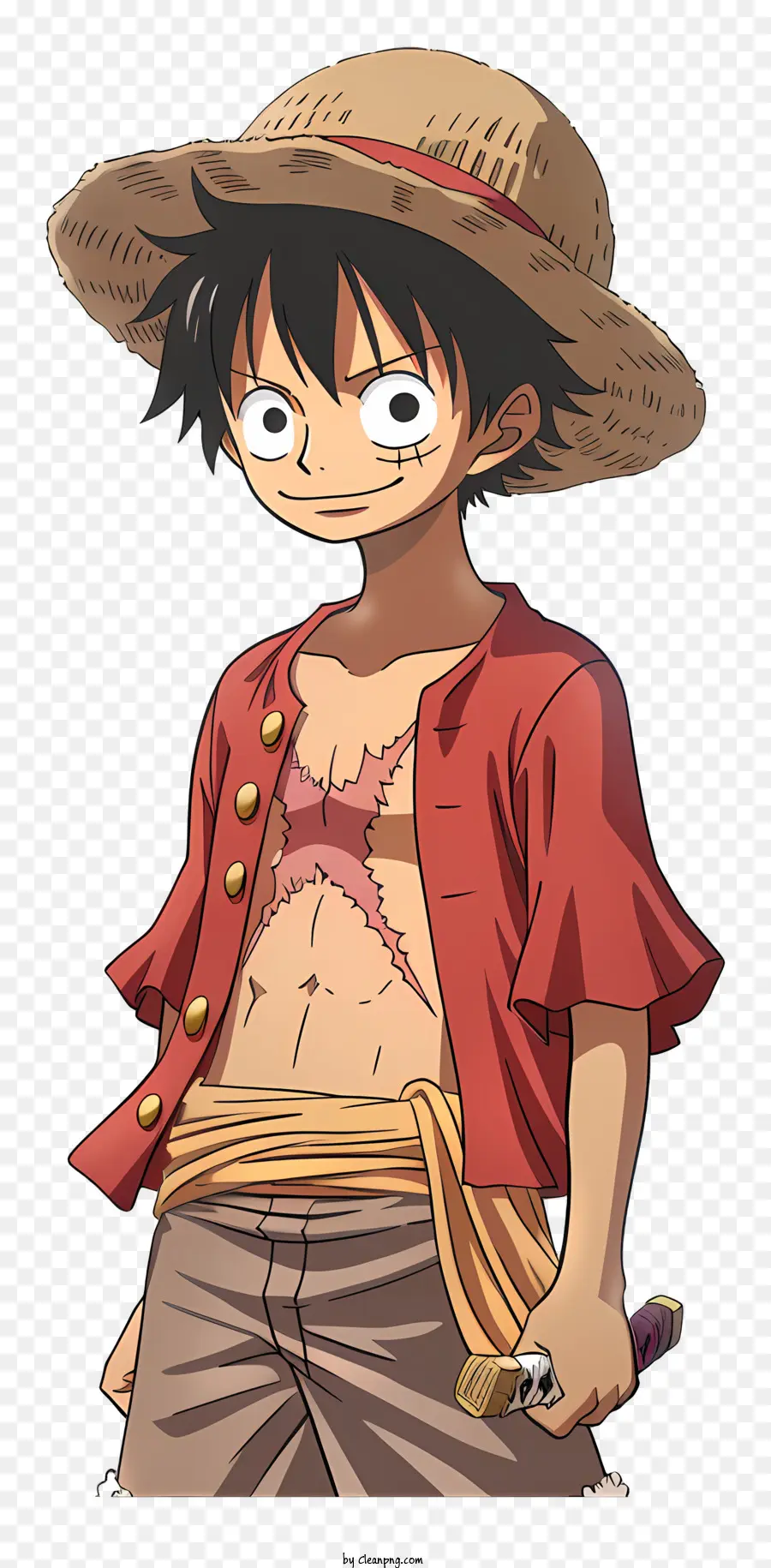 One Piece Luffy，Personaje De Dibujos Animados PNG