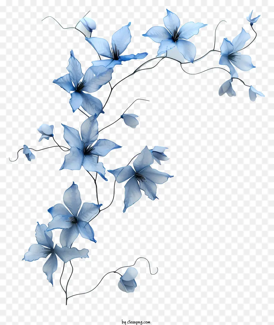 Vid De La Flor Azul，Flores De Color Azul PNG