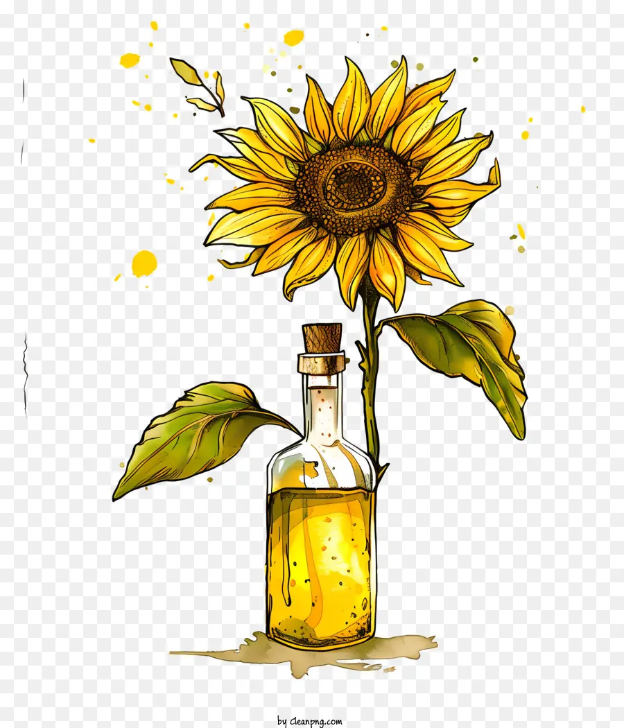 Aceite De Girasol，Girasol PNG