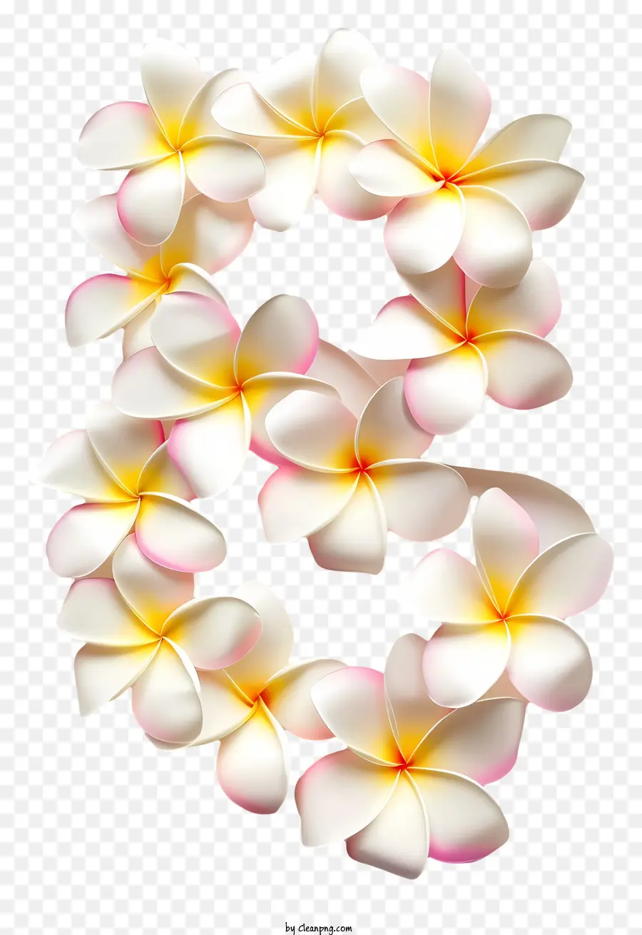 Floral Número Ocho，Arreglo De Flores PNG