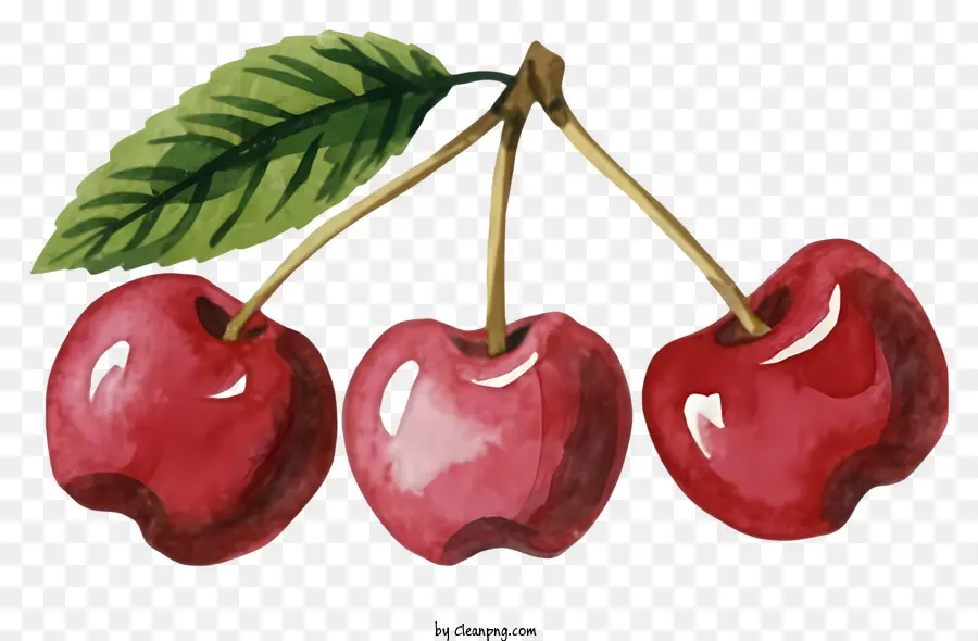 Las Manzanas Rojas，Pintura A La Acuarela PNG