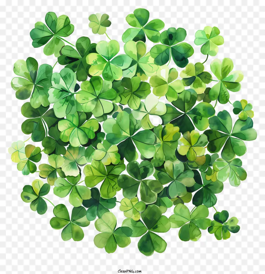 Feliz Día De San Patricio，Trébol PNG