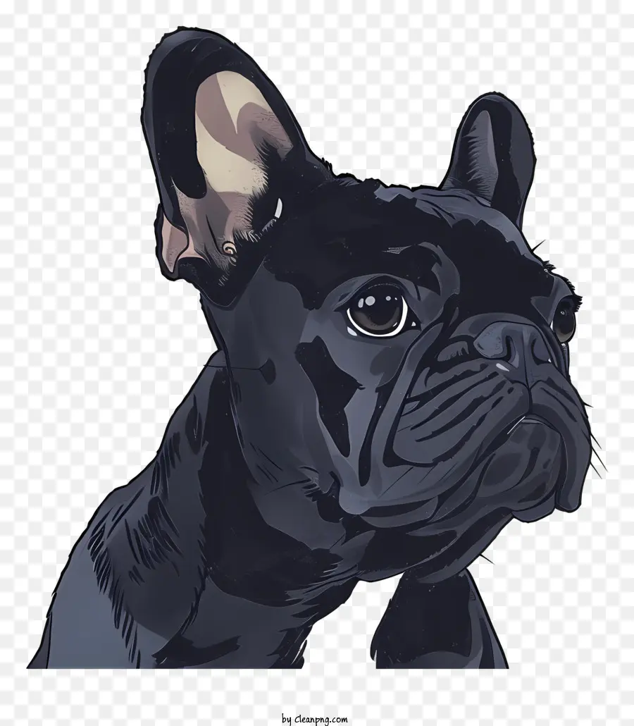 Bulldog Francés，Perro PNG