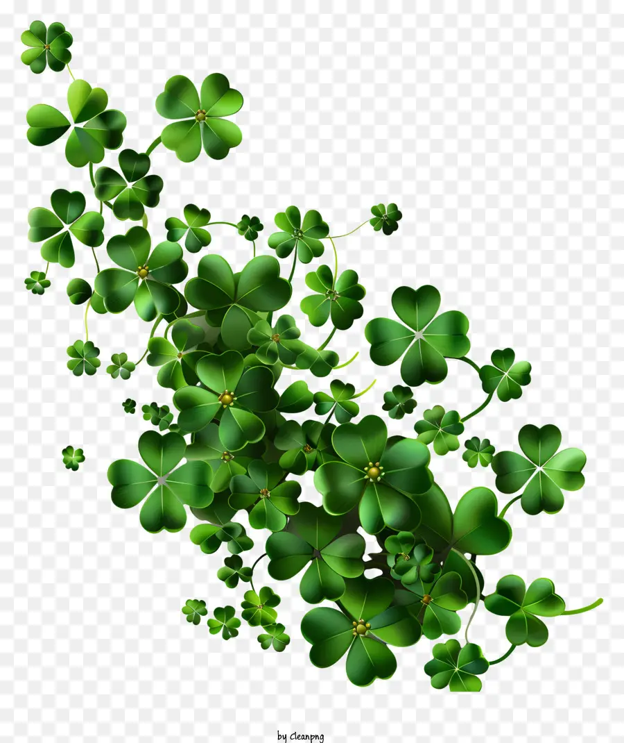 Feliz Día De San Patricio，Shamrock PNG