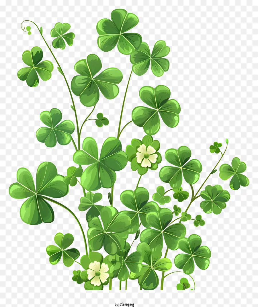 Feliz Día De San Patricio，Trébol PNG