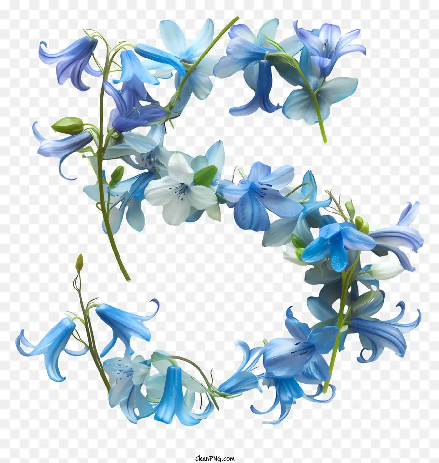 Floral Número Cinco，Flores De Color Azul PNG