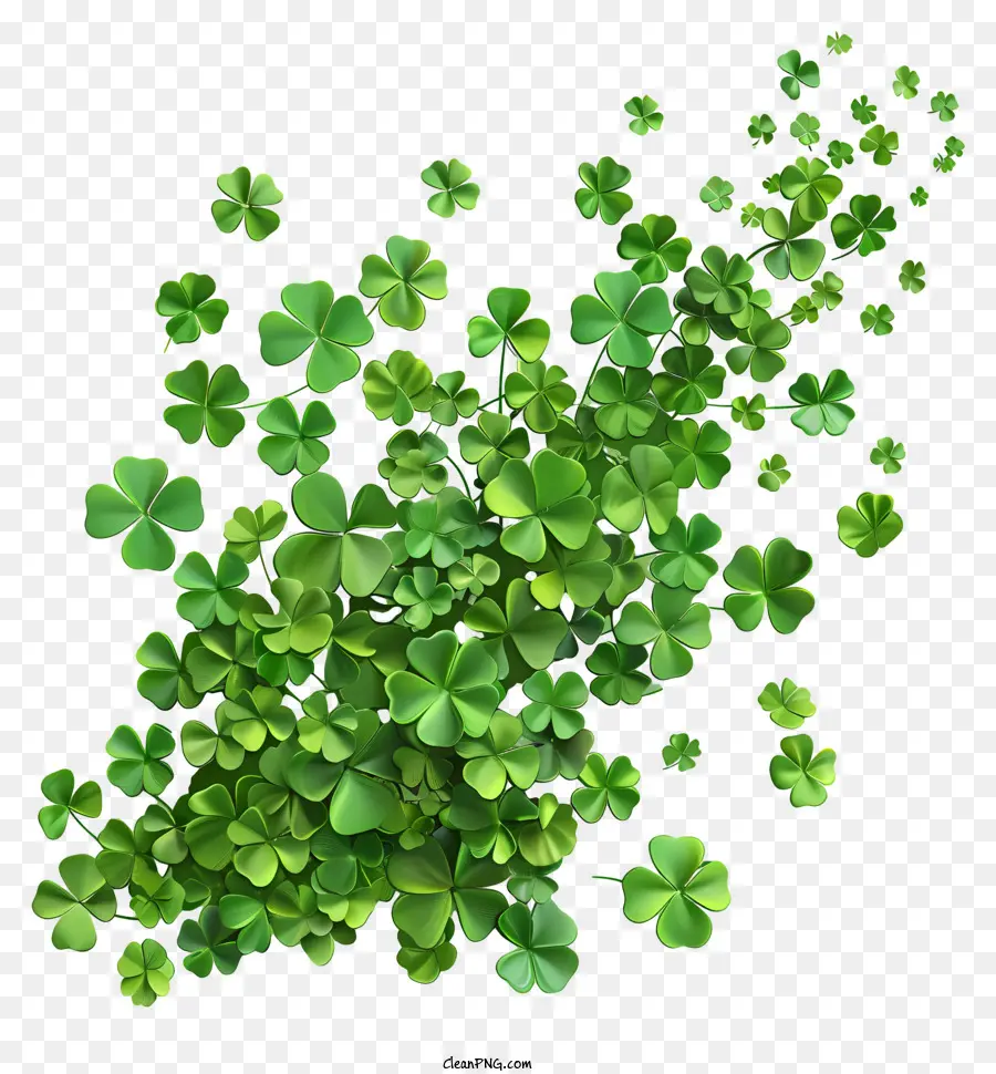 Feliz Día De San Patricio，Shamrock PNG