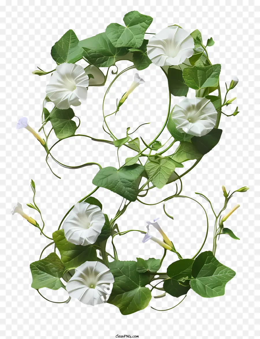 Número Floral Dos，Número Floral Ocho PNG