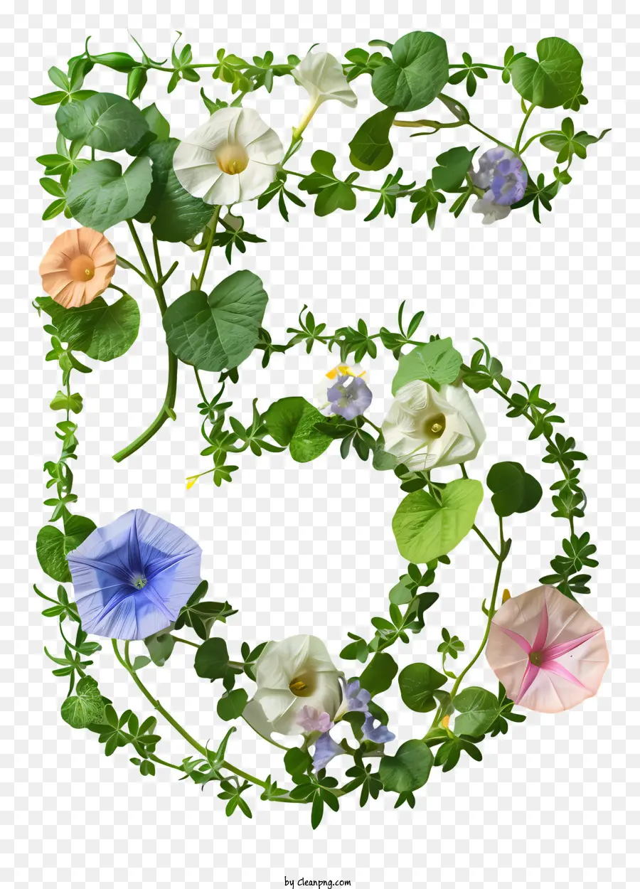 Número Floral Cinco，Letra Floral O PNG