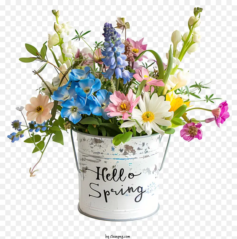 Hola Primavera，Balde De Metal PNG