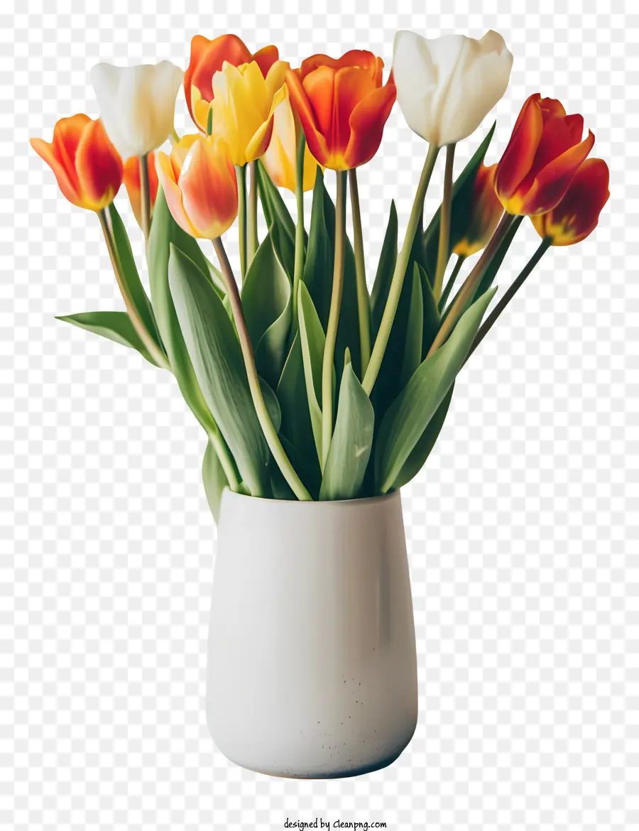 Hola Primavera，Los Tulipanes PNG