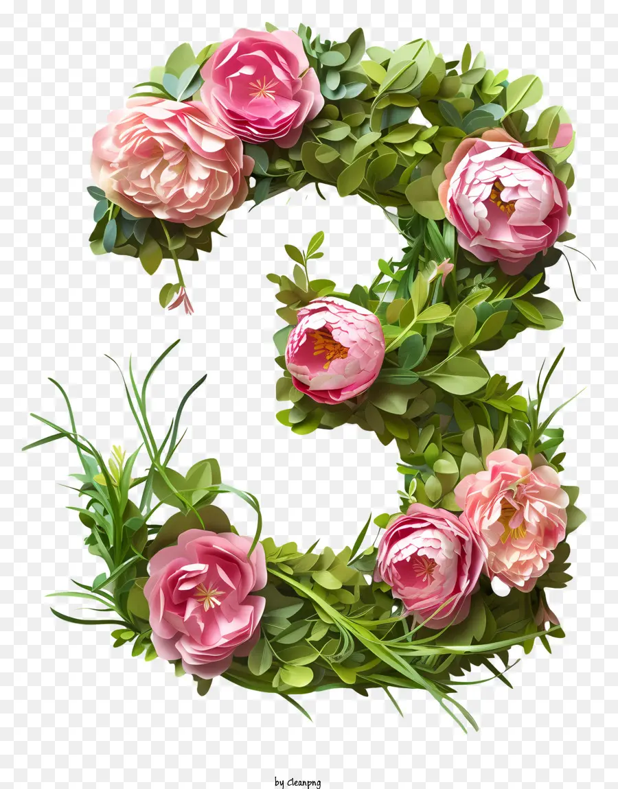 Número Floral Tres，Numero 5 PNG