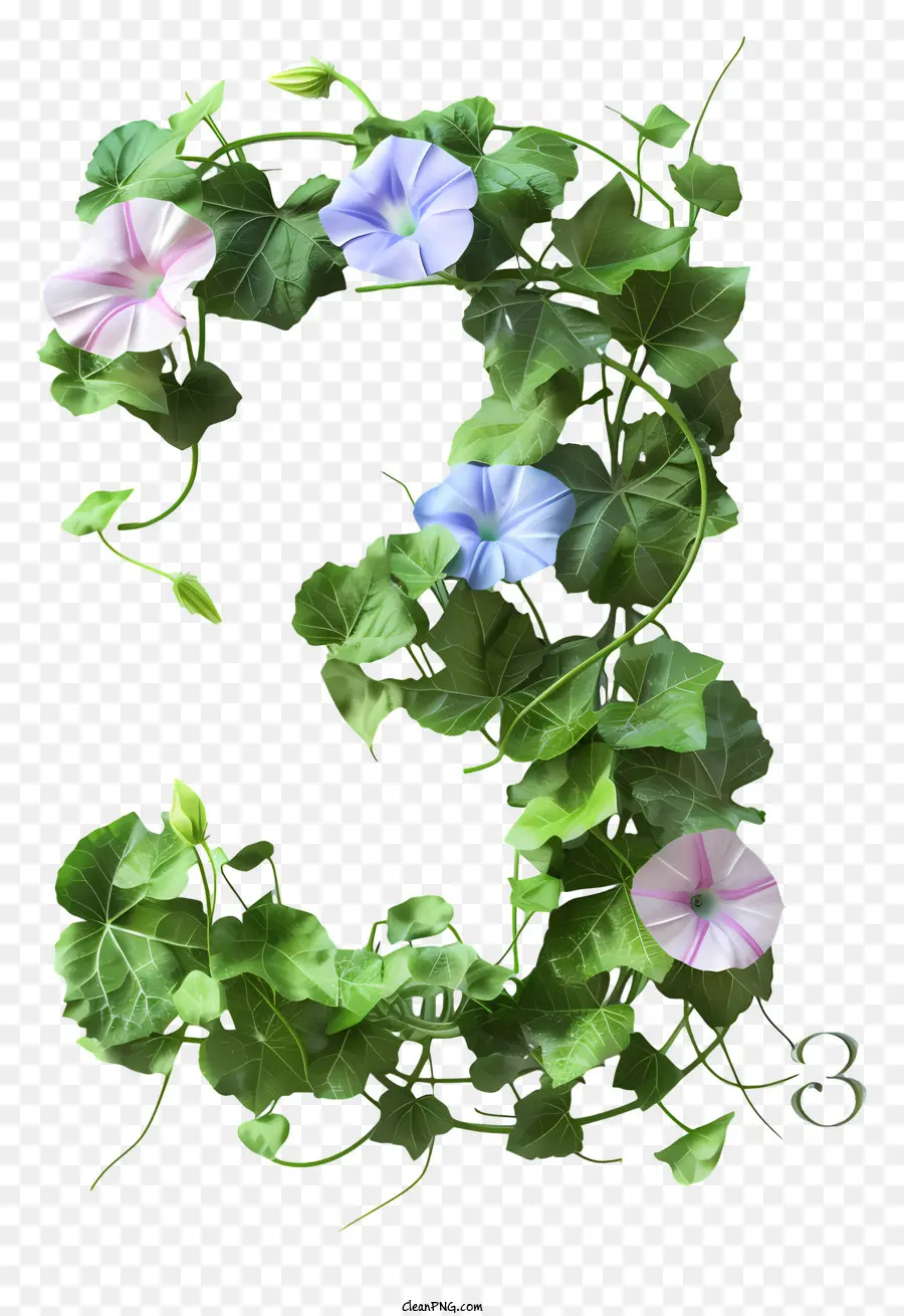 Floral Número Tres，Número 3 PNG