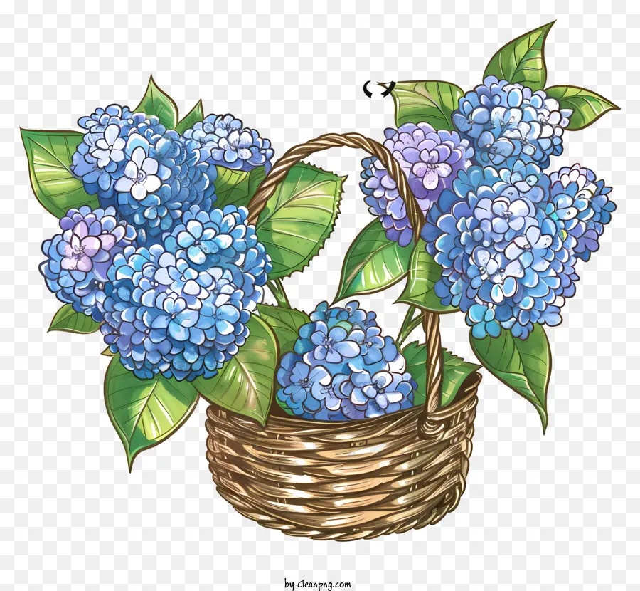 Hola Primavera，Hidrantes Azules PNG