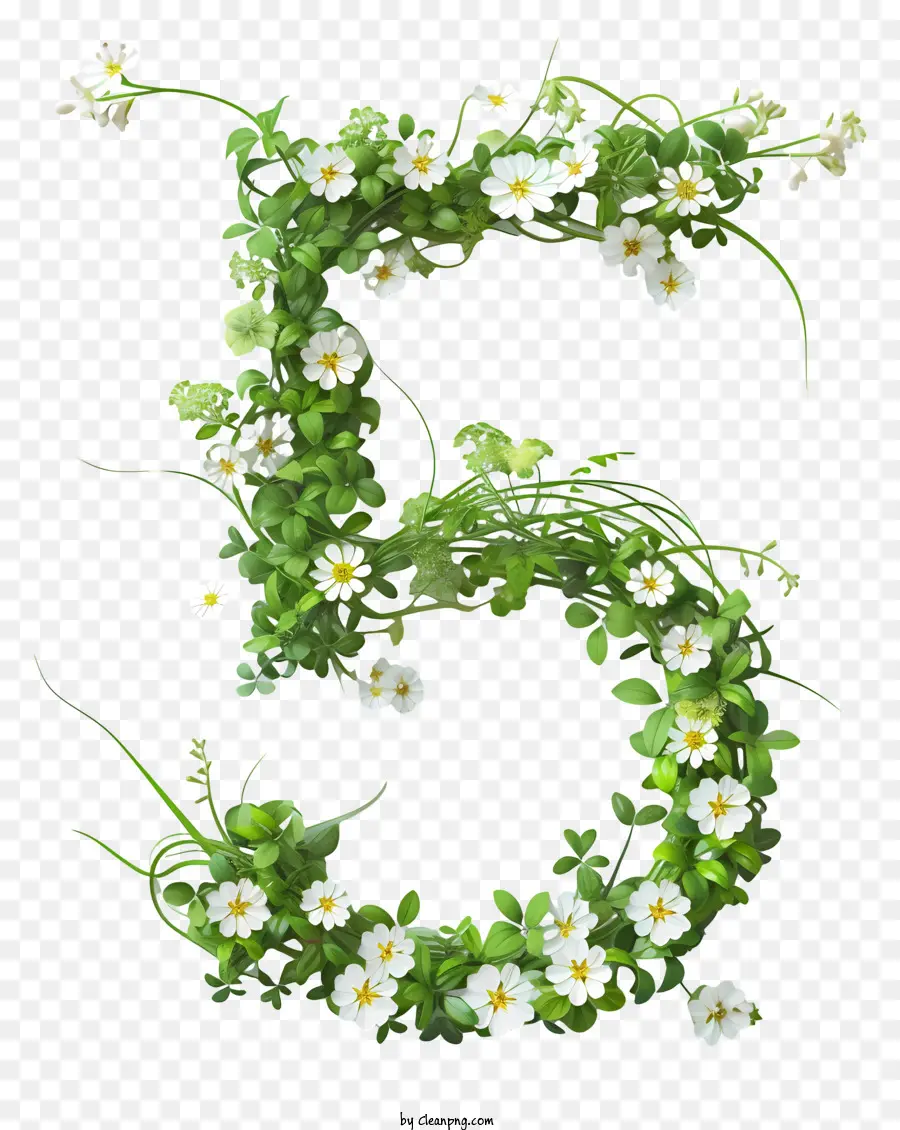 Floral Número Cinco，Floral Número 5 PNG