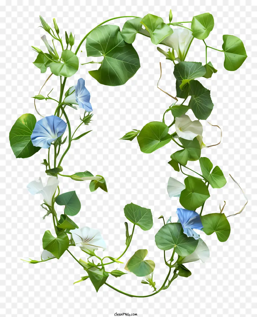 Floral Número Tres，Azul Y Blanco Flores PNG