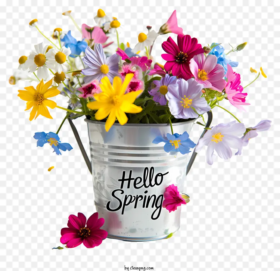Hola Primavera，Las Flores De La Primavera PNG